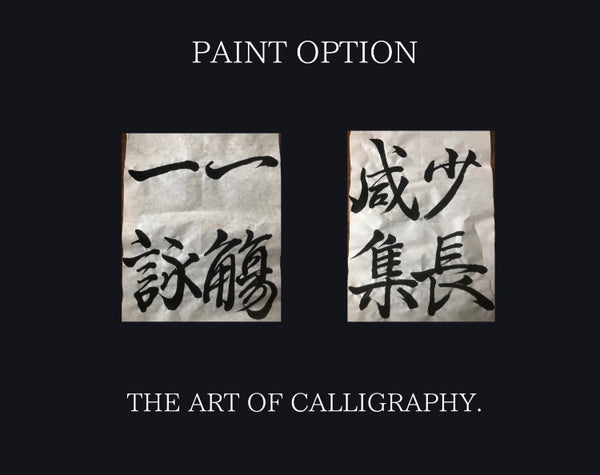 Paint Option(オプション限定、単品購入不可）
